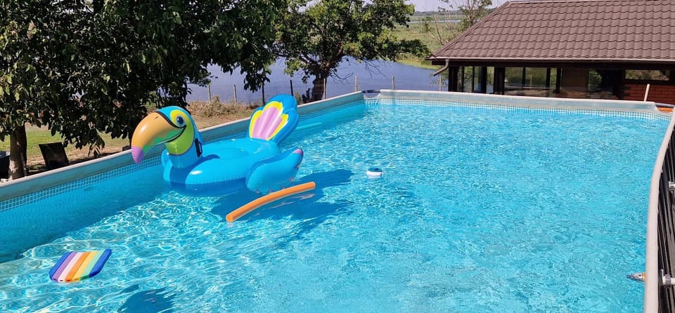 Pool view, Swimming pool