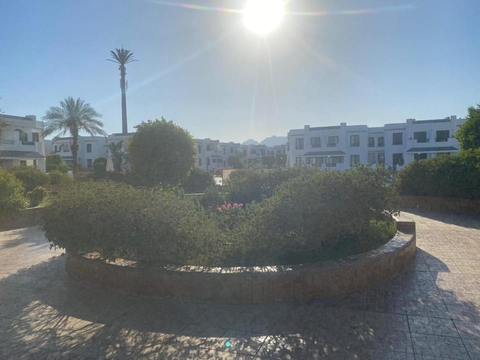 Sharm El Sheikh Naama Bay Sun shine Resort Apartment hotel in Sharm El-Sheikh