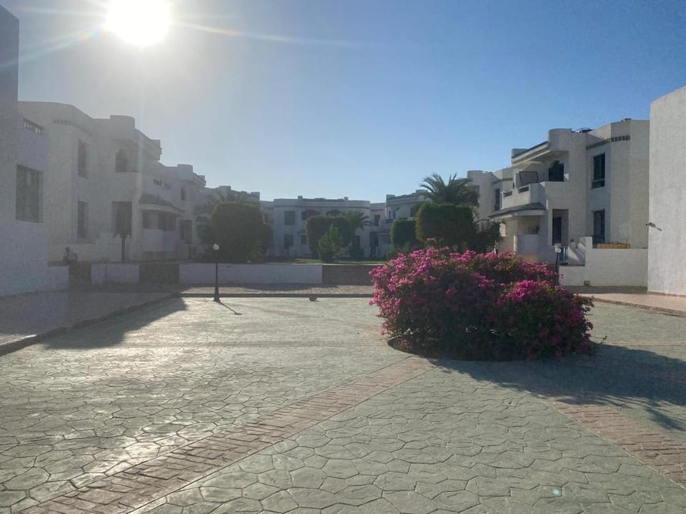 Sharm El Sheikh Naama Bay Sun shine Resort Apartment hotel in Sharm El-Sheikh