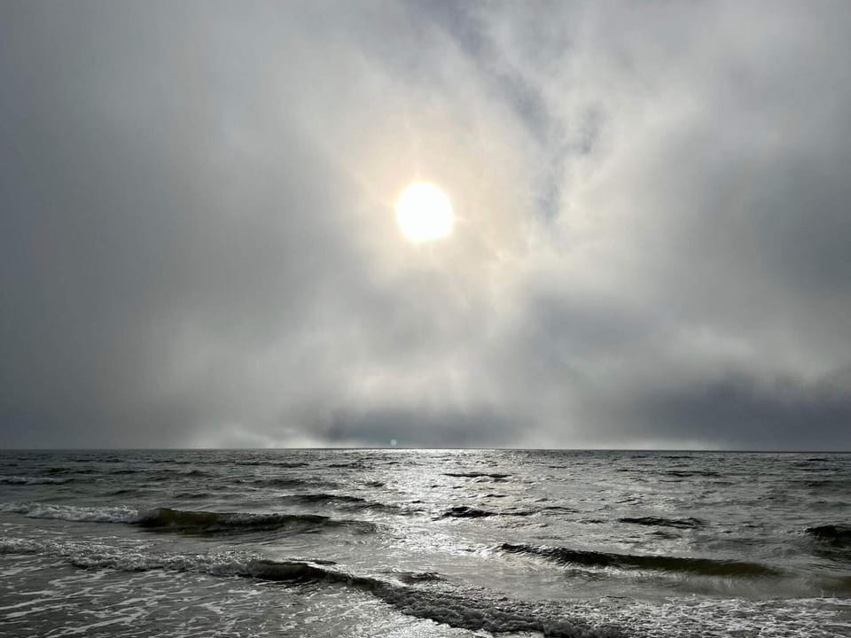 Lake view