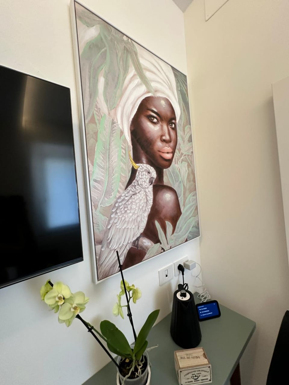 TV and multimedia, Decorative detail