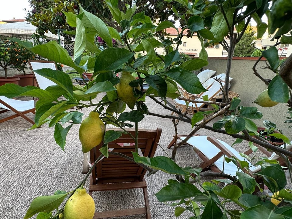 Garden, Garden view