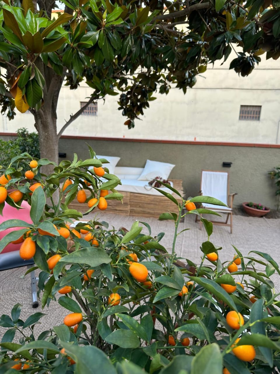 Garden, Garden view