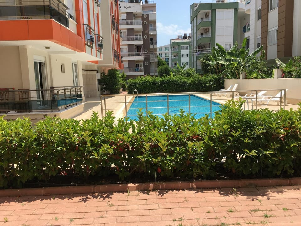 Garden, Garden, Pool view, Swimming pool