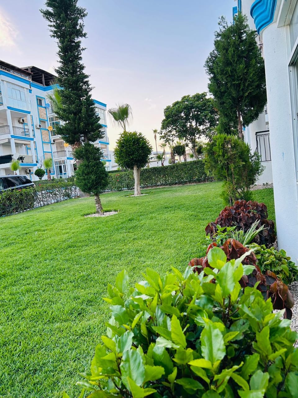Garden, Garden