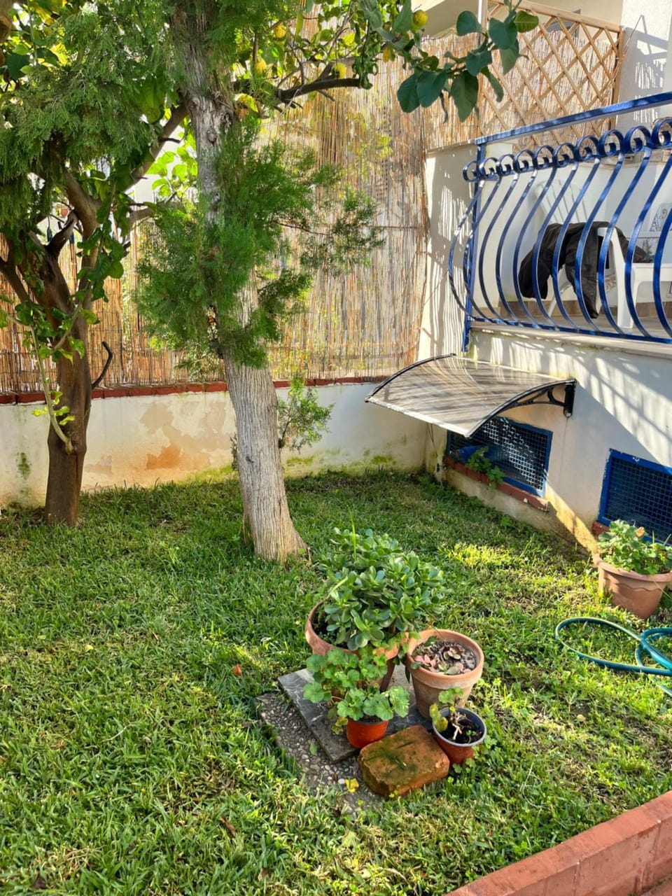 Day, Garden, Garden view
