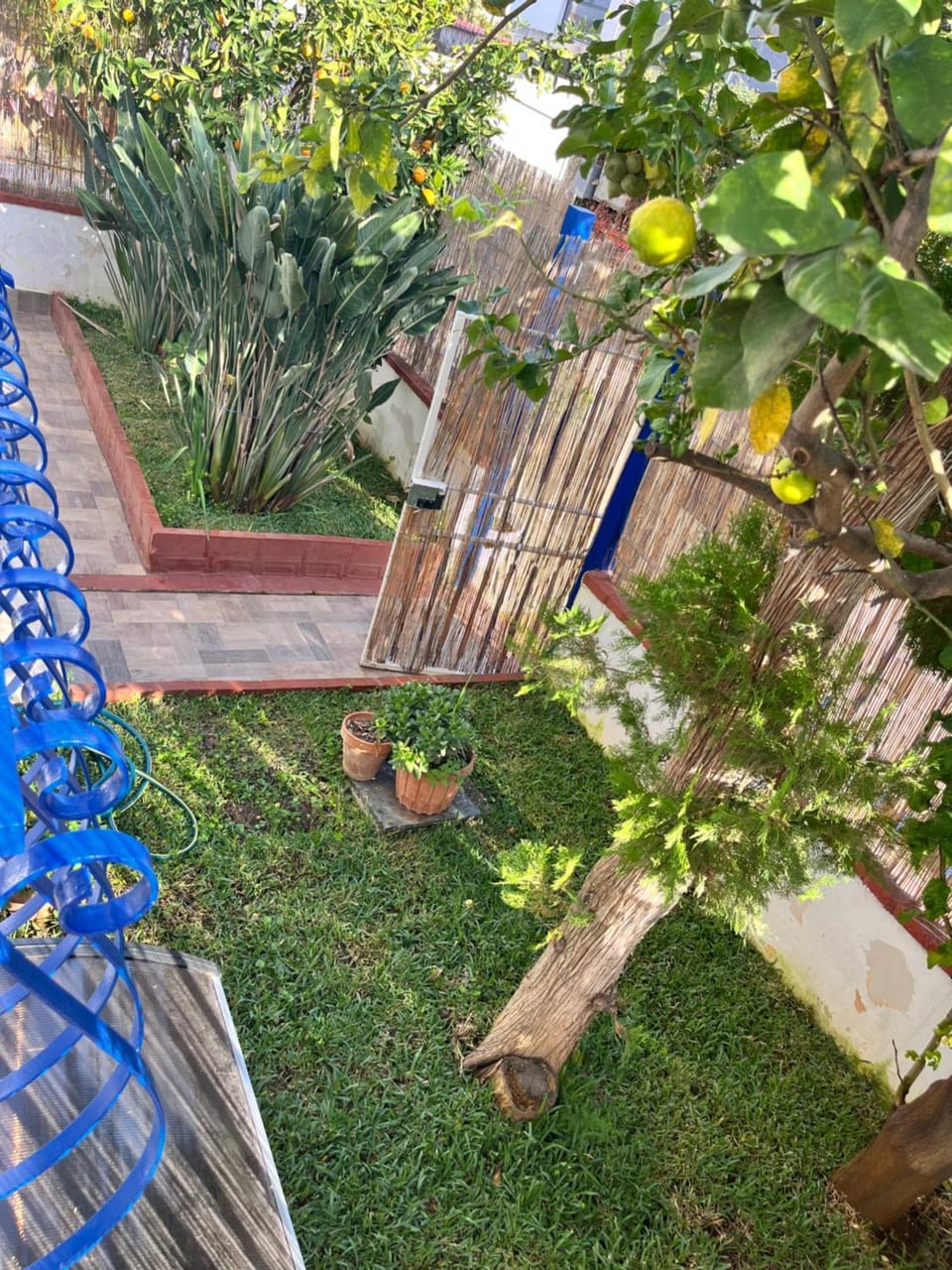 Spring, Day, Garden, Garden view