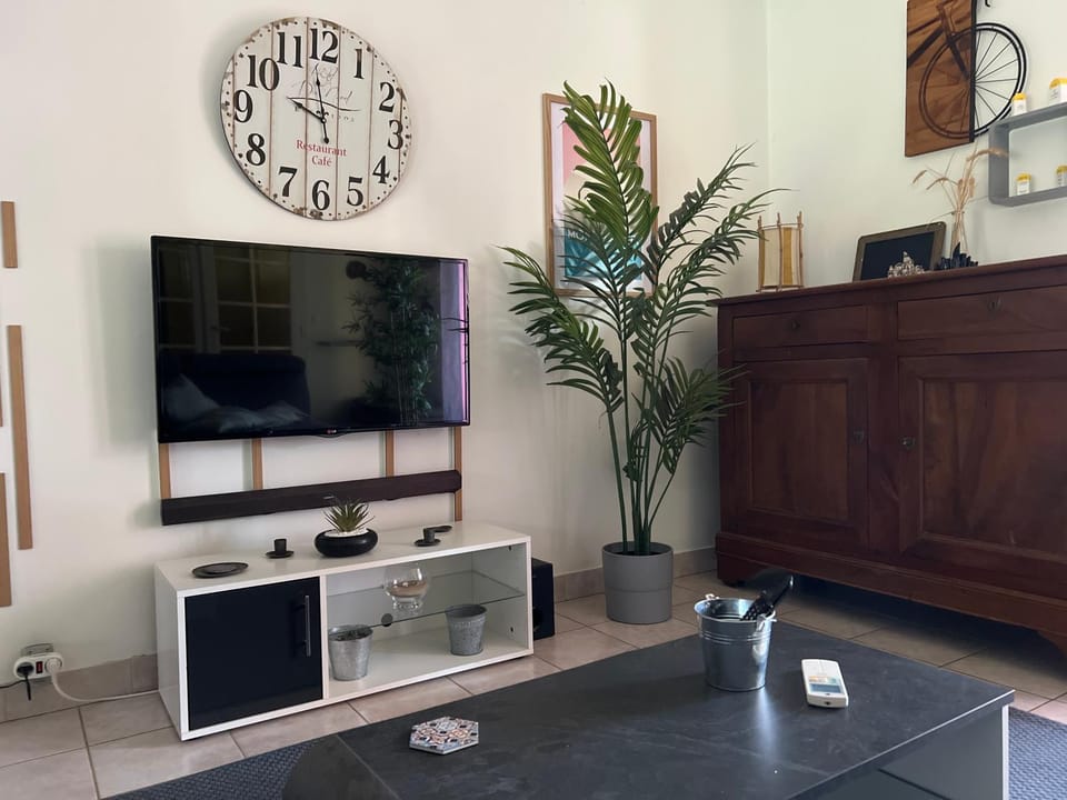 TV and multimedia
