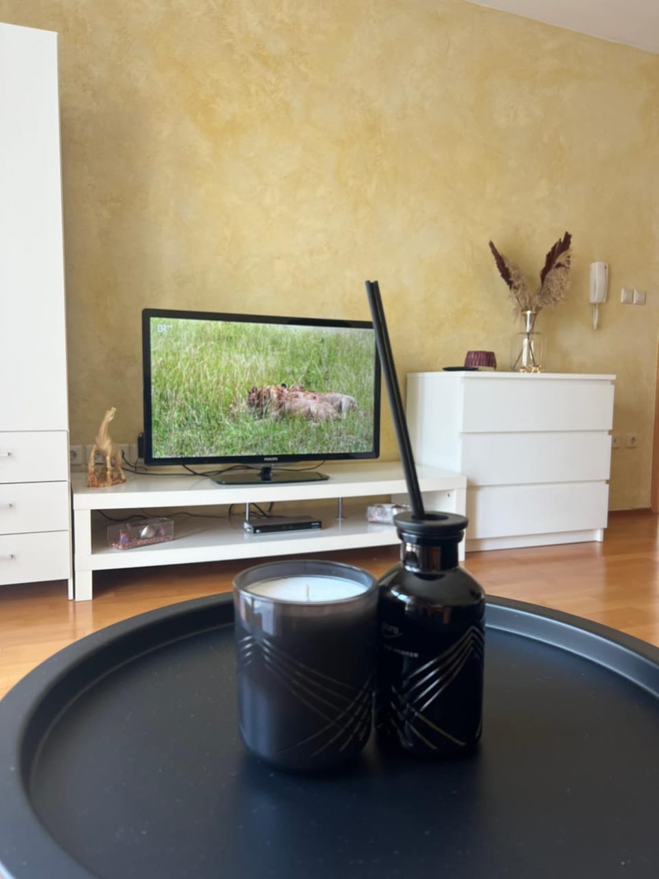 Communal lounge/ TV room, TV and multimedia, Evening entertainment