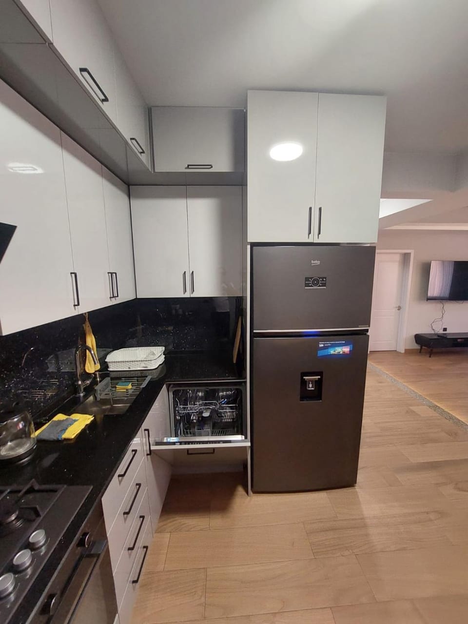 Kitchen or kitchenette, dishwasher, oven, stove