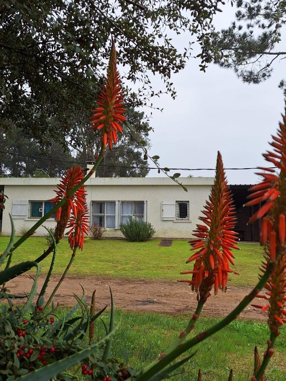 Property building, Winter, Garden, Garden, Beach, Autumn, Garden view