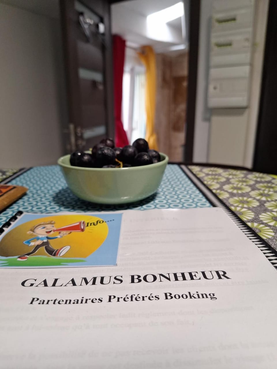 Galamus Bonheur - Quand tu veux t'échapper de chez toi ! Apartment in Catalonia