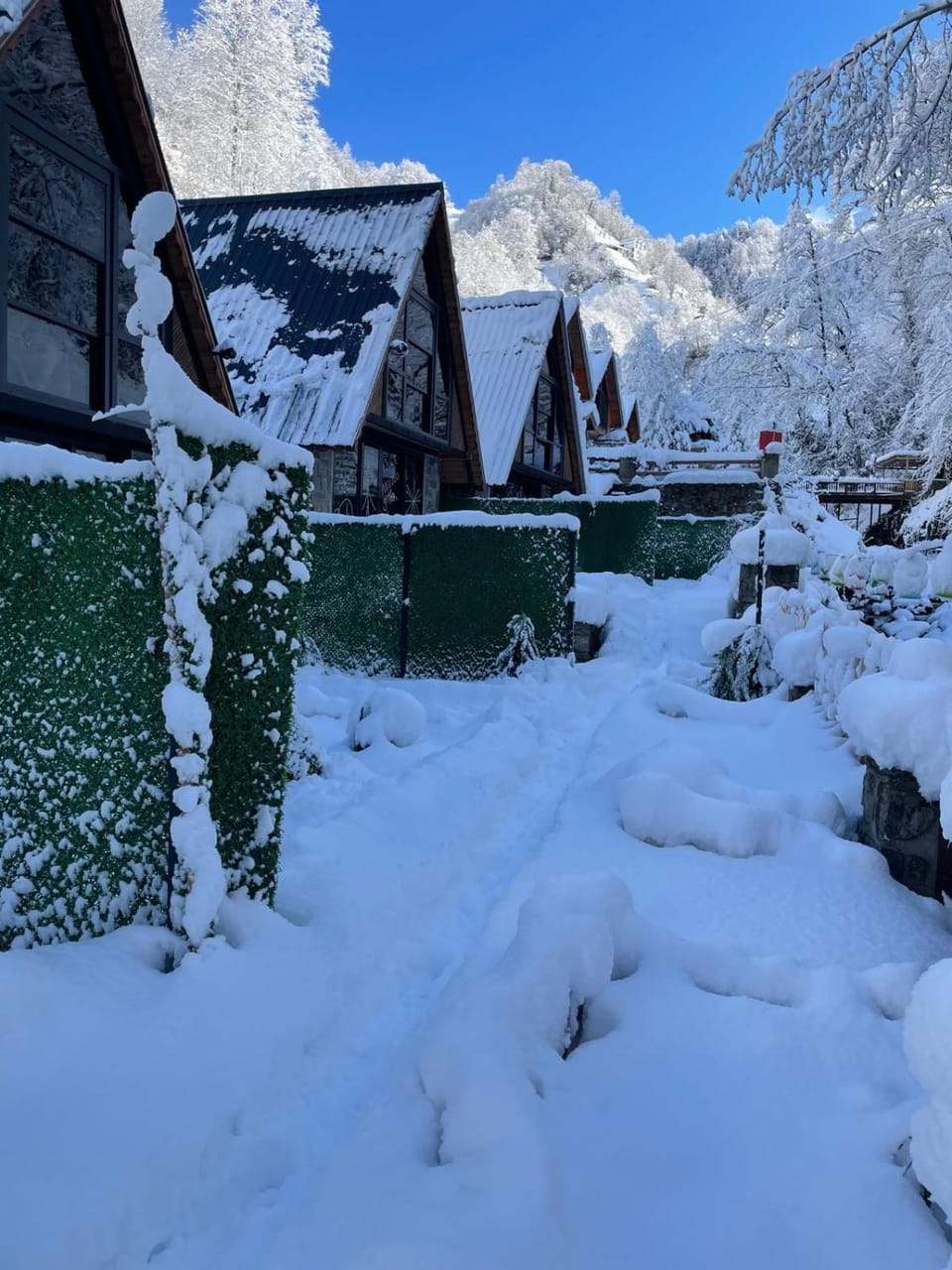 Winter