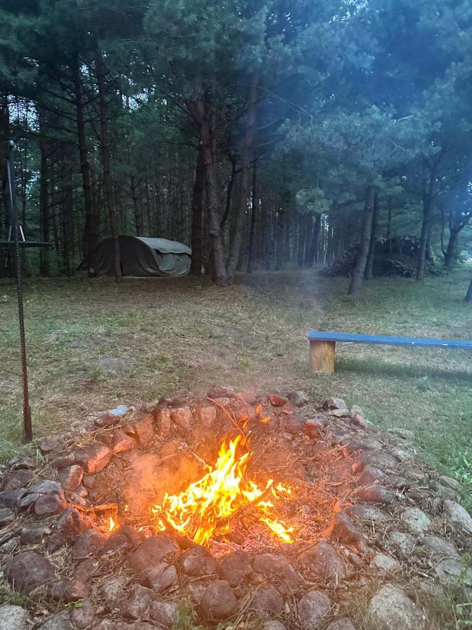 Natural landscape, BBQ facilities