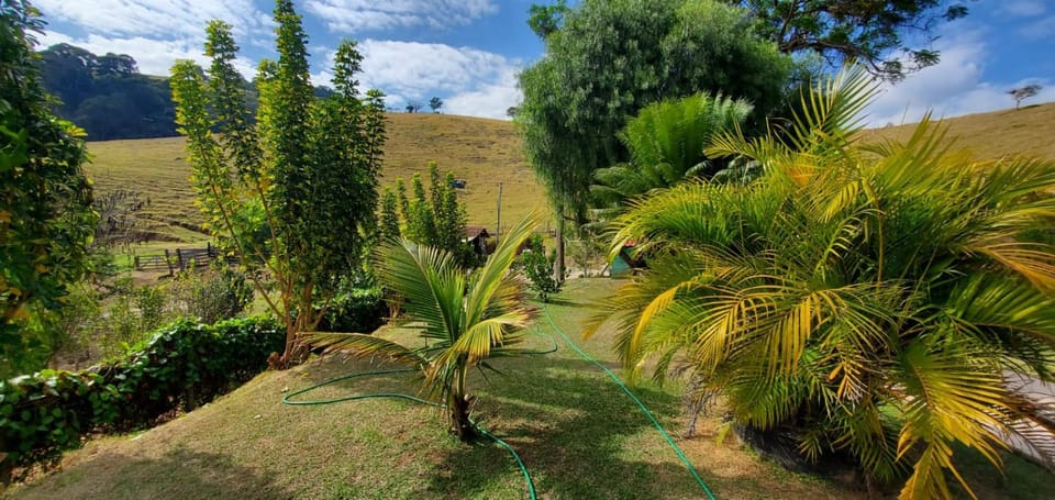 Day, Natural landscape, Garden