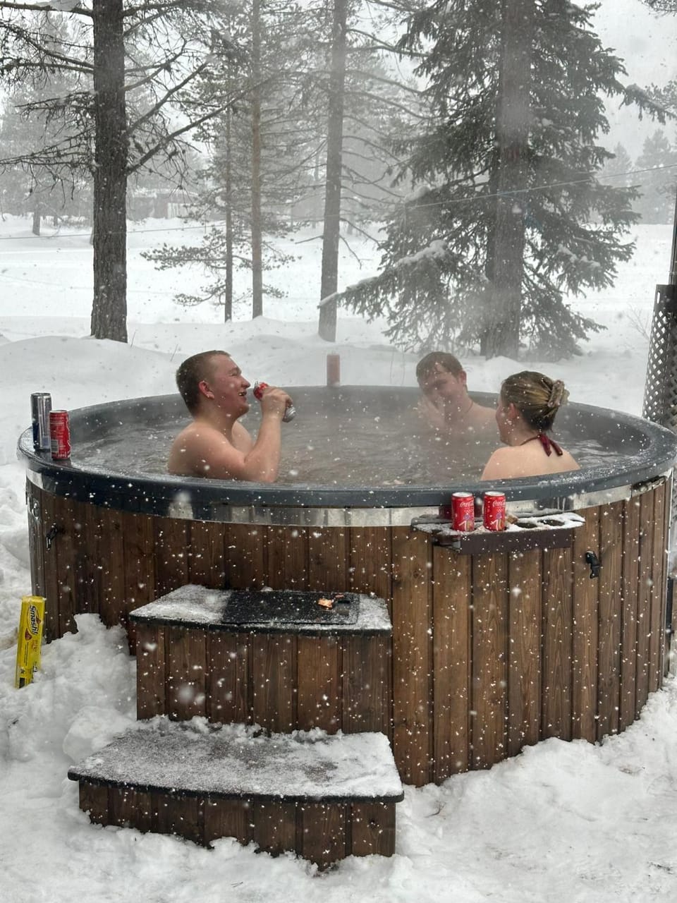 Hytta på Øyfjell med badestamp House in Viken, Norway