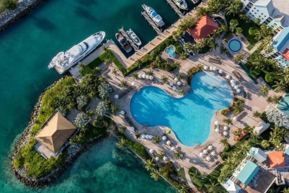 Day, Bird's eye view, Swimming pool