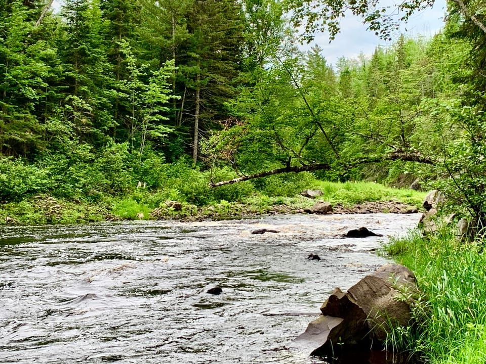 Natural landscape, River view