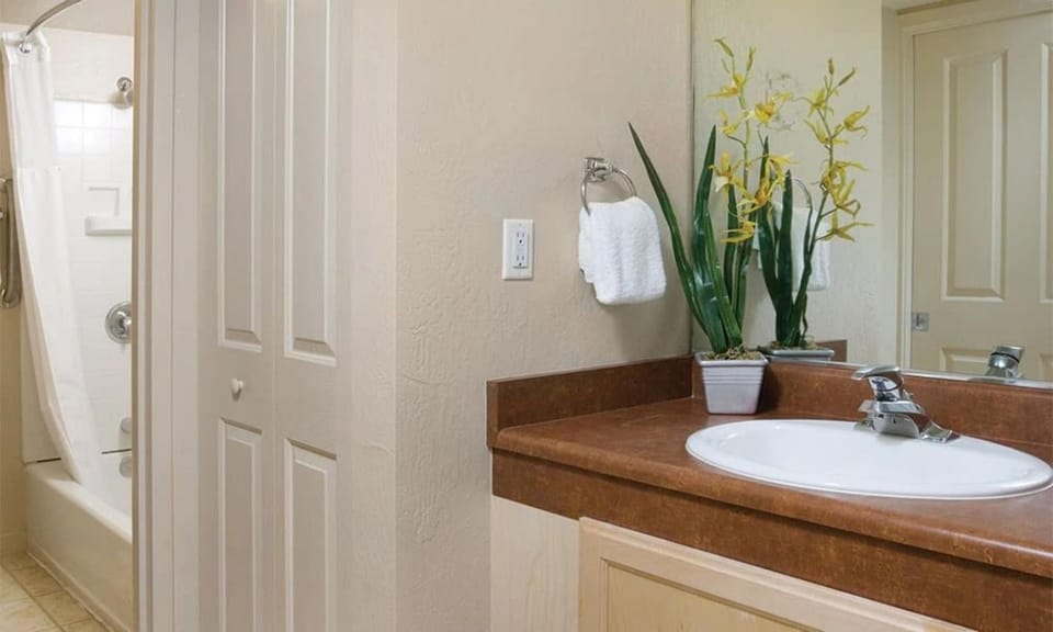 Bathroom, Bath, towels