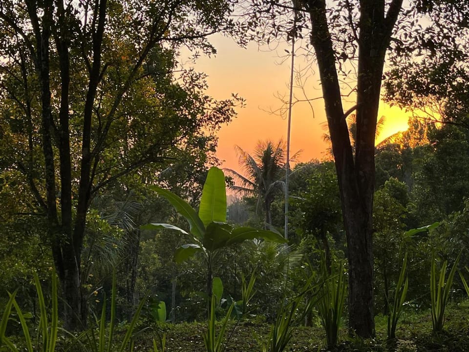 Natural landscape