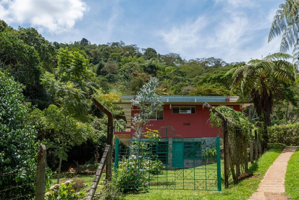 Property building, Natural landscape, Garden