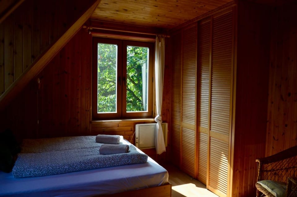 Rzeka i las House in Poland