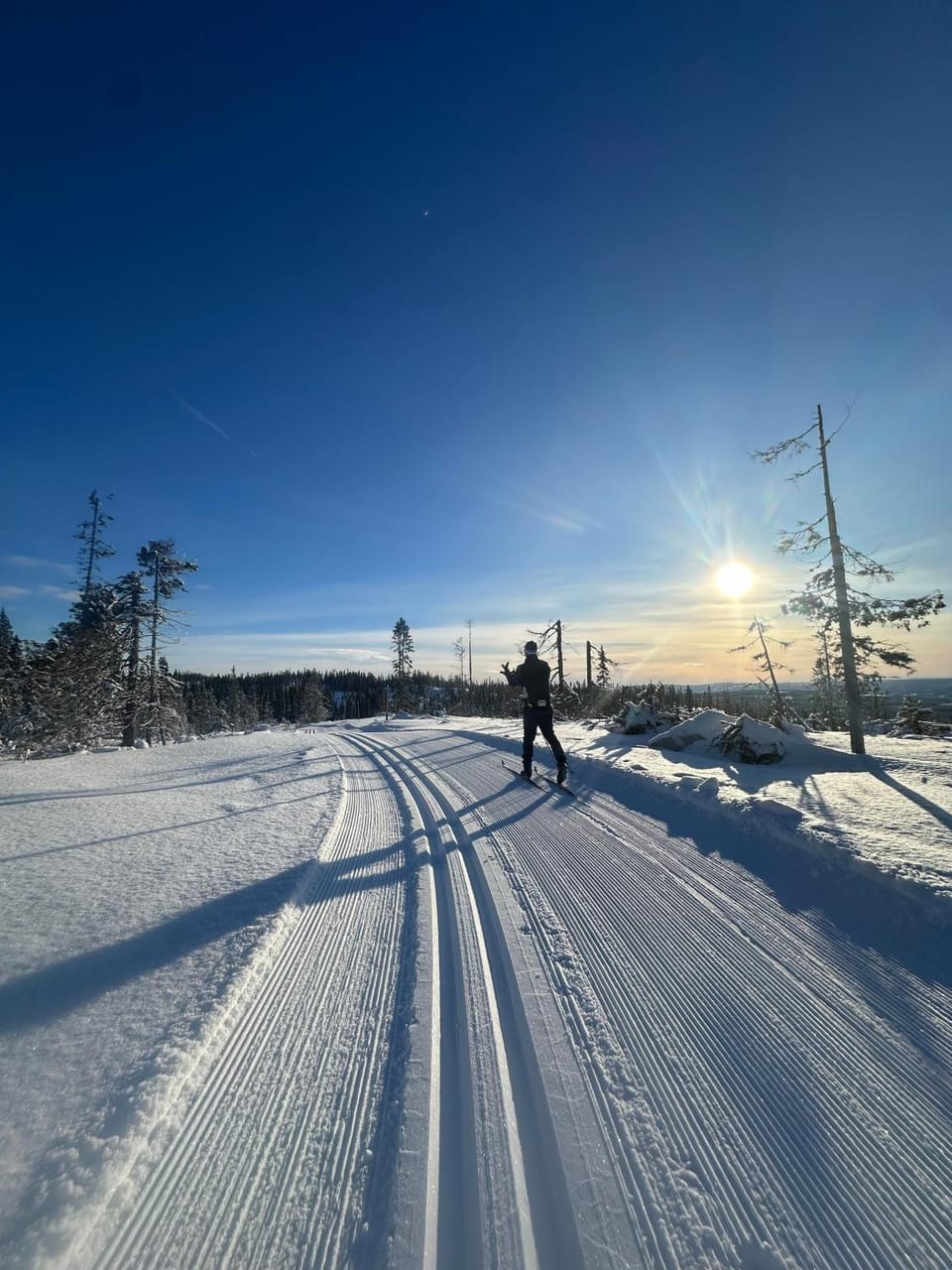 Skiing
