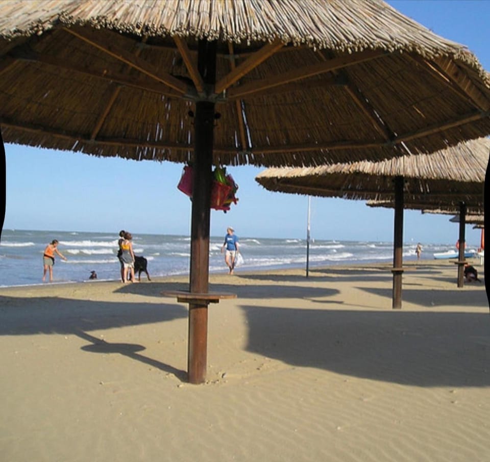 Firenze Apartment in Pescara