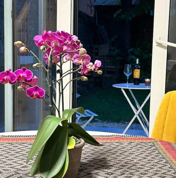 Patio, Garden