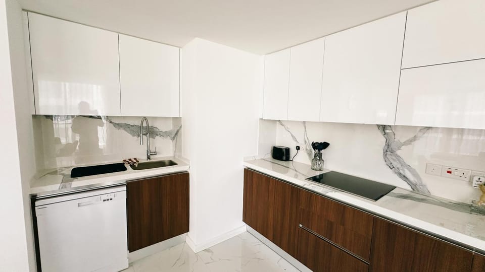 Kitchen or kitchenette, dishwasher