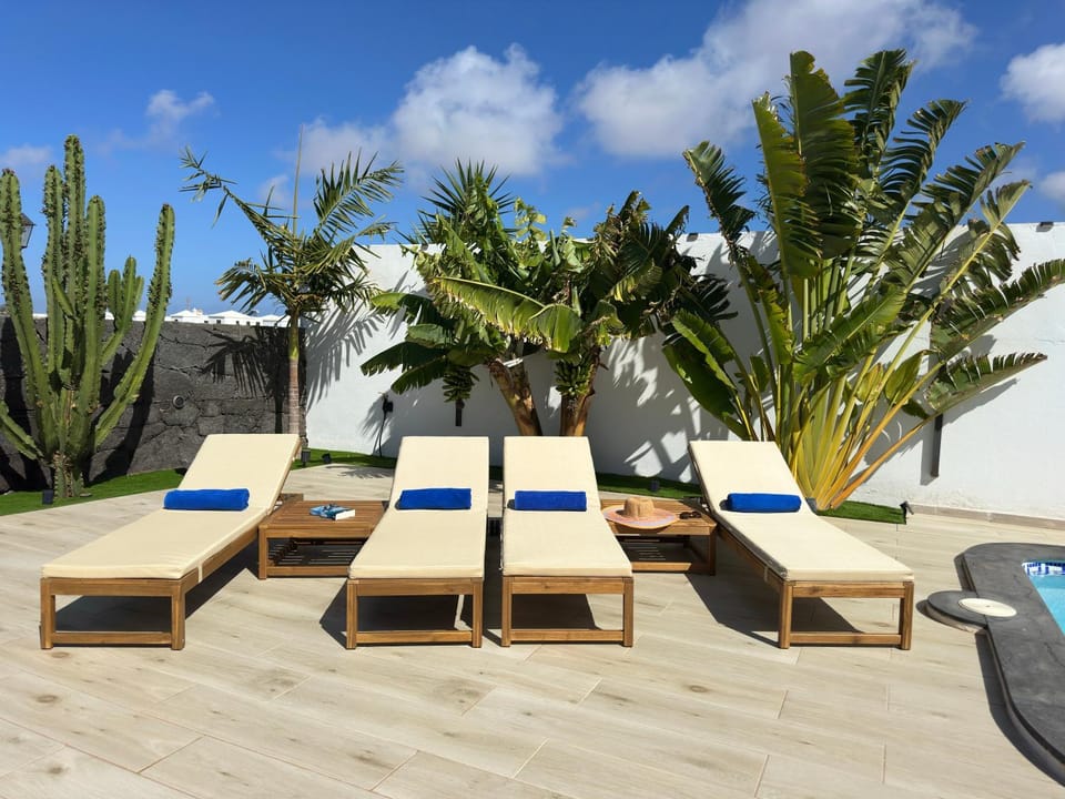 Day, Garden, Seating area, Garden view, sunbed