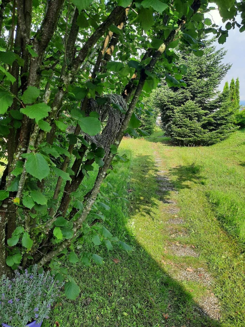 Natural landscape