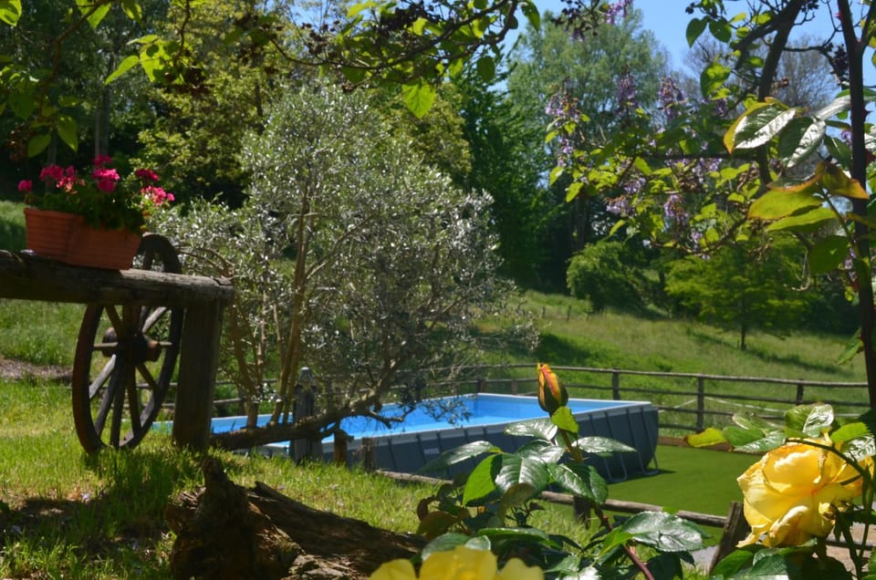 Natural landscape, Garden, Garden view, Pool view, Swimming pool