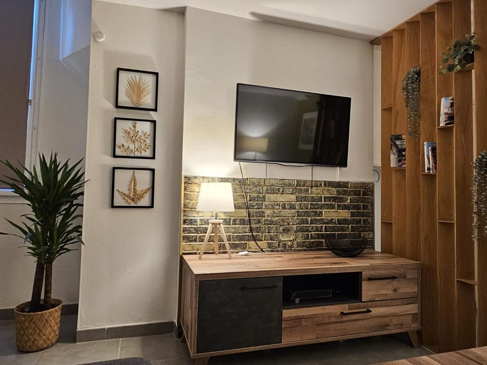 TV and multimedia
