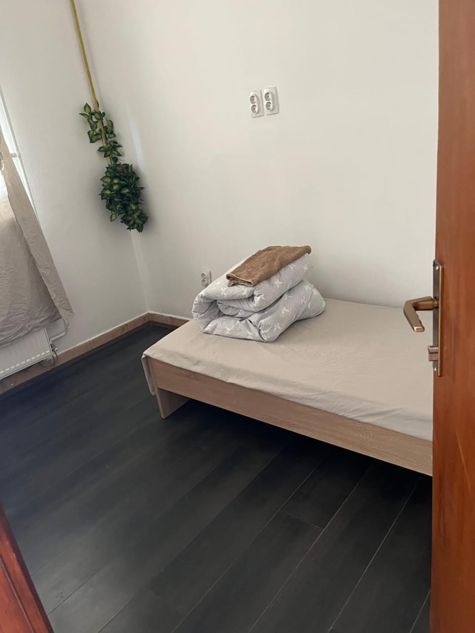 Jack coffee hostel 7 Vacation rental in Novi Sad