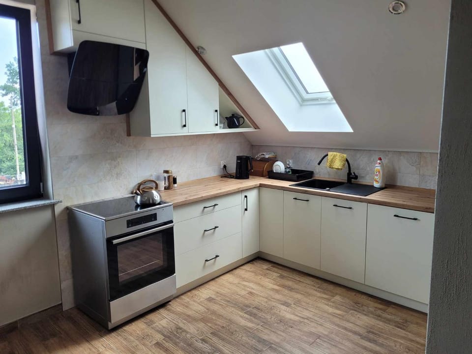 Coffee/tea facilities, Kitchen or kitchenette, dishwasher, oven, stove