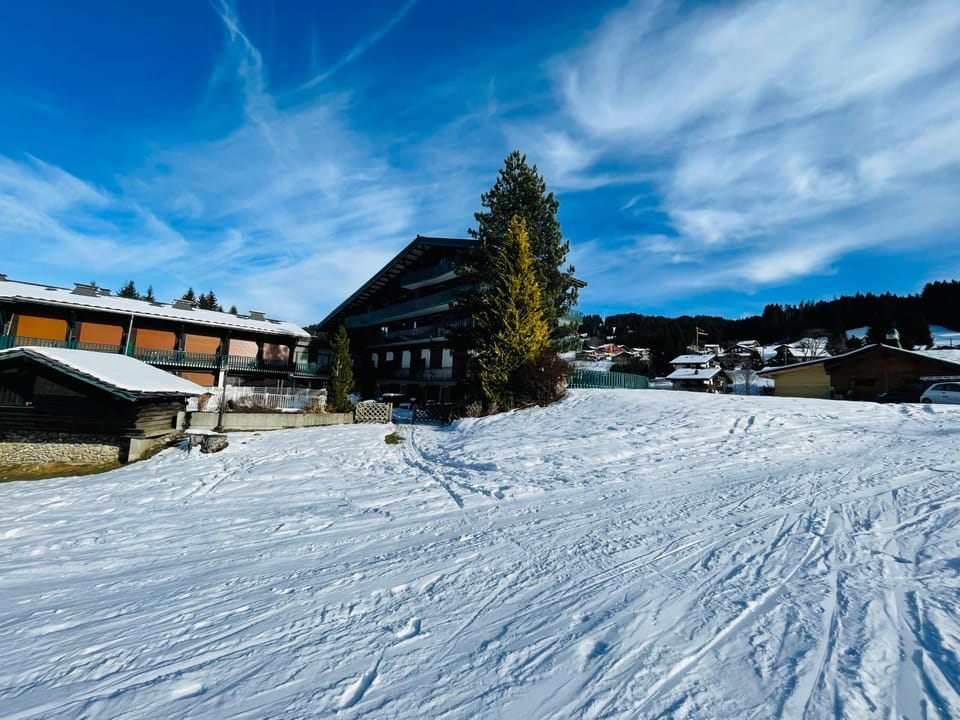 Studio ski aux pieds vue superbe sur les pistes Apartment in Les Gets