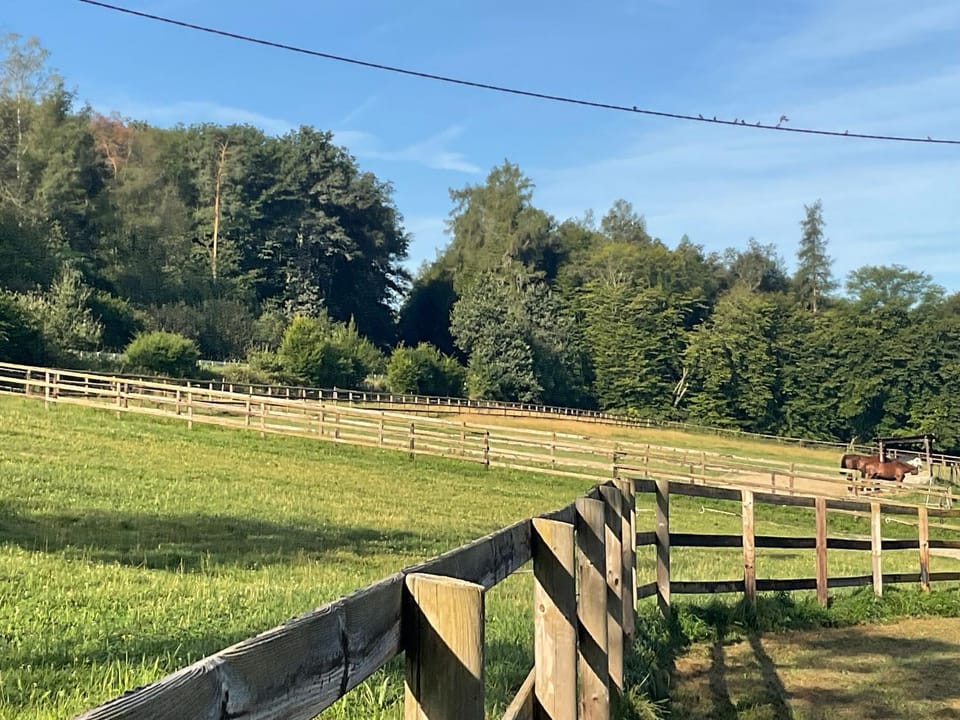 Natural landscape, View (from property/room)
