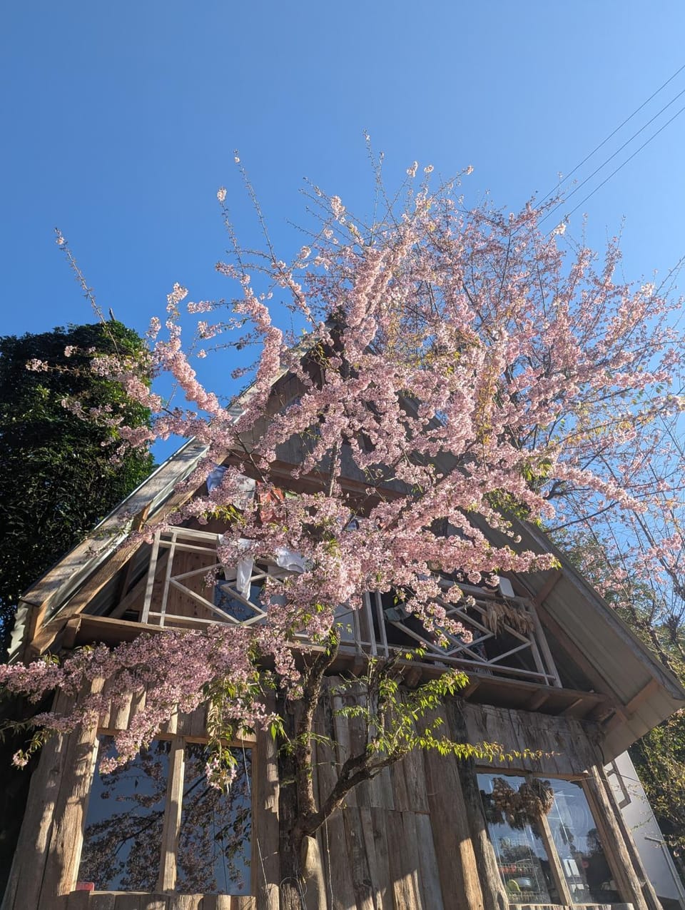 Spring, Day