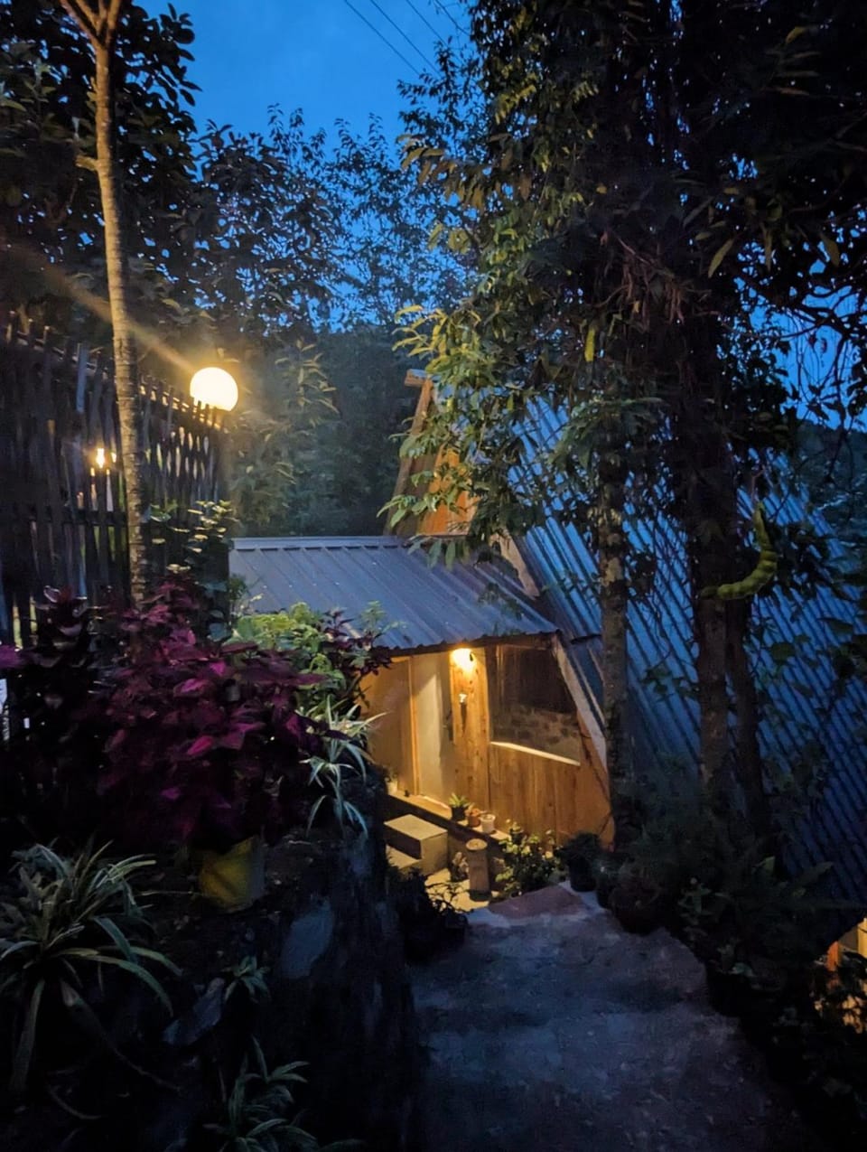 Property building, Facade/entrance, Night, Garden view