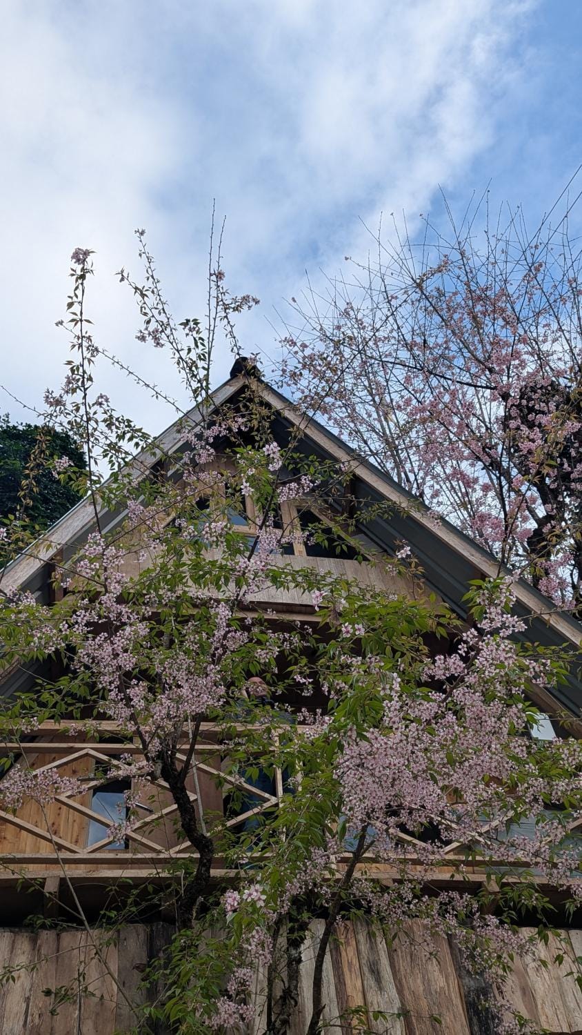 Property building, Spring