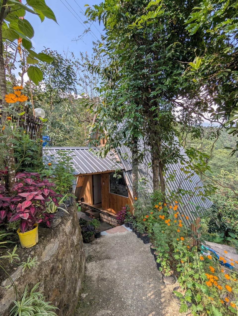 Property building, Garden, Garden view