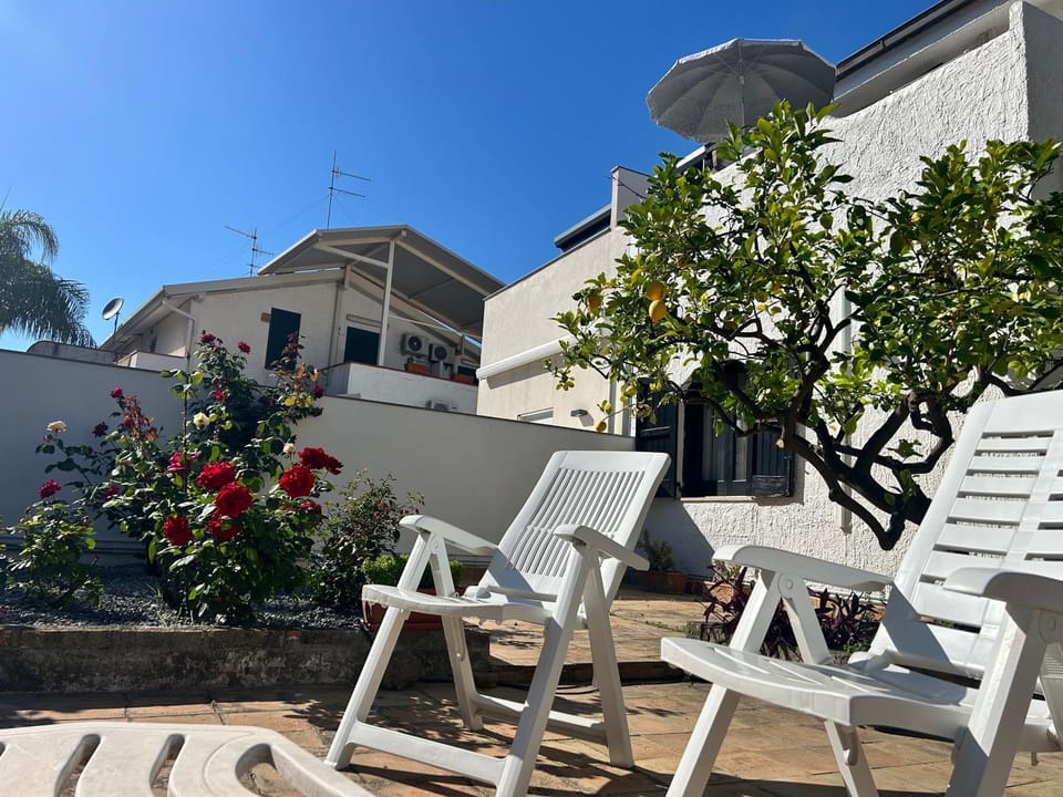 Patio, Garden, Garden view, sunbed