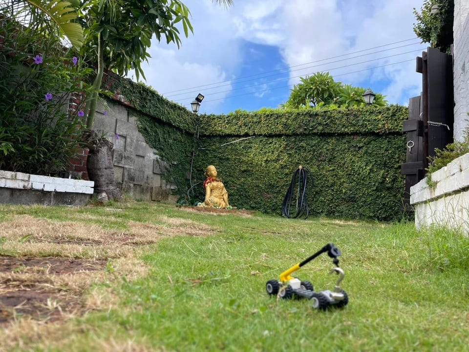 Property building, Garden