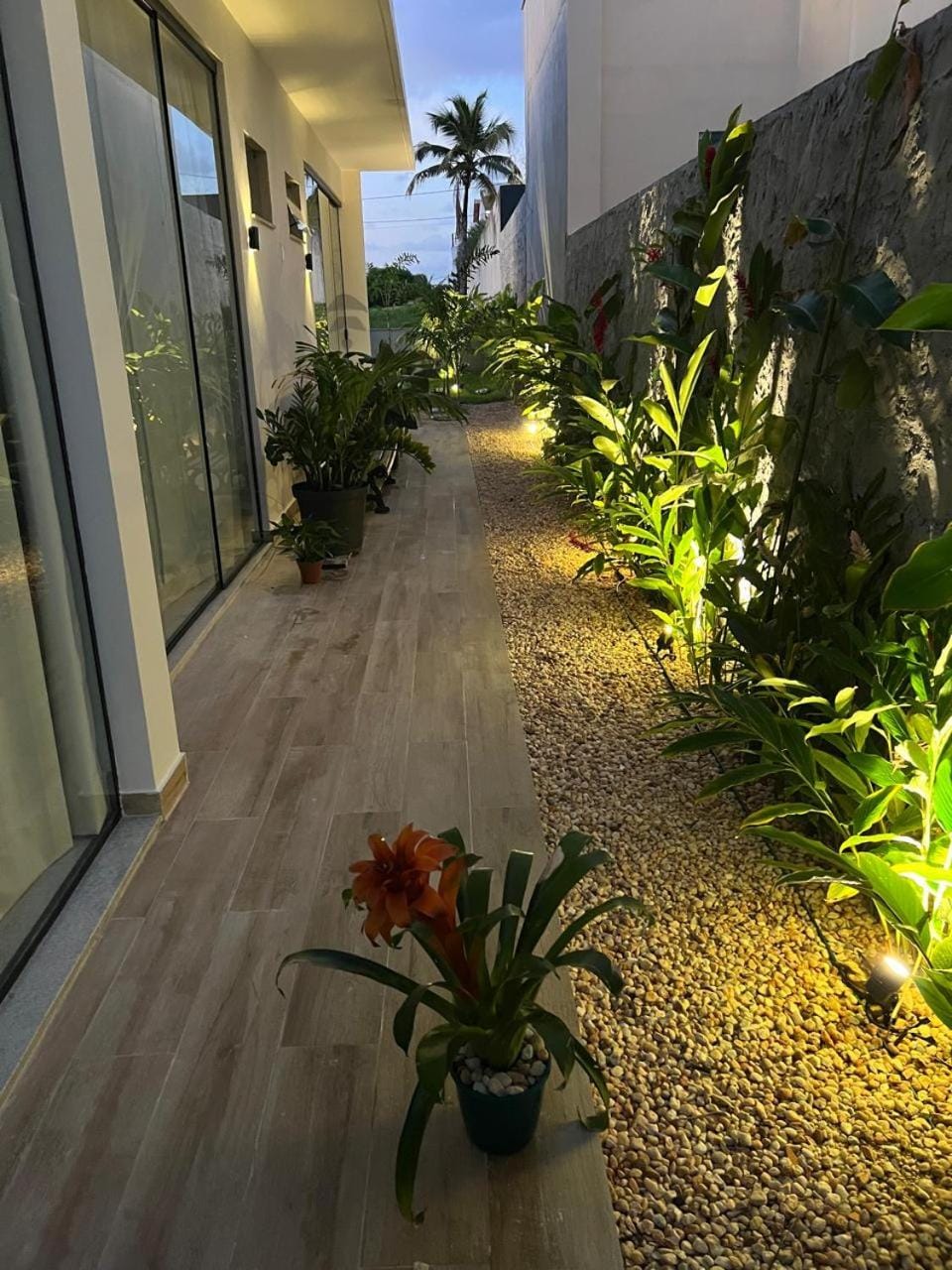 Patio, Balcony/Terrace