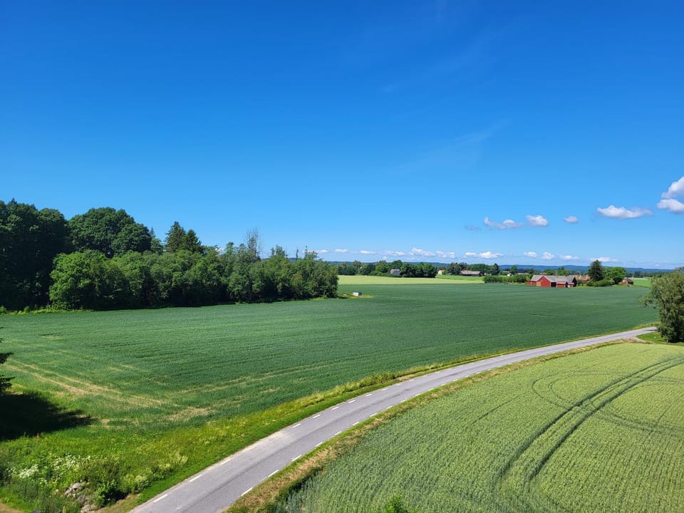 Natural landscape, Summer, Other