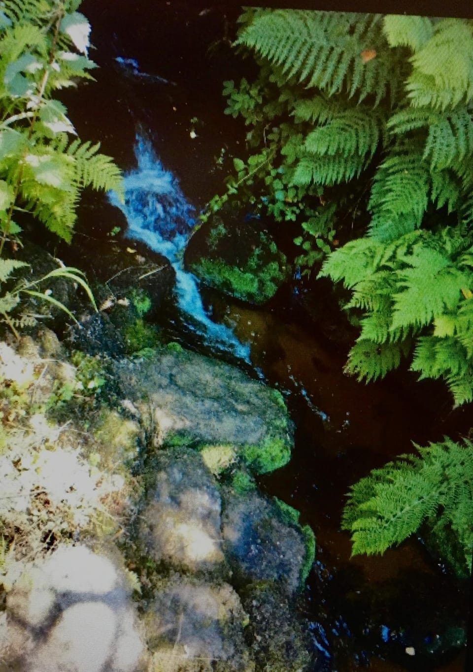 River view
