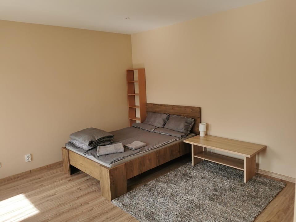 Pīlādži 2 Apartment in Latvia