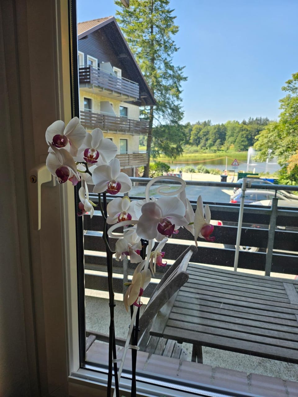 View (from property/room), Lake view, Landmark view, Time of day