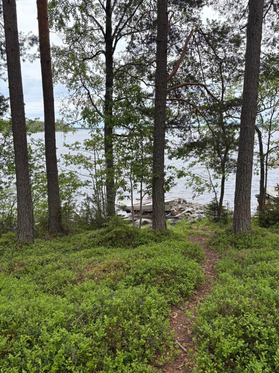 Lake view